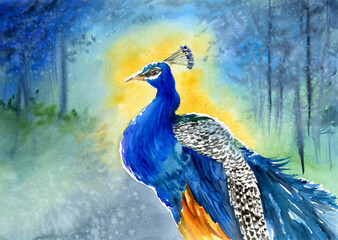 Watercolor illustration of a beautiful peacock with iridescent turquoise feathers and a long mottled tail against a blue-green jungle background