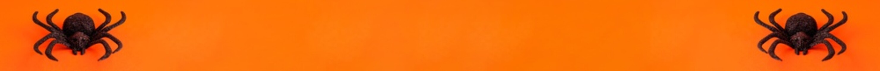 Flat lay banner of two black horror spiders of different sizes directions on orange backdrop with copy space. Halloween decoration spooky background concept for holidays
