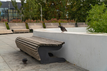 bench in the park