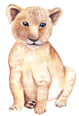 Lion Sublimation, Jungle ANimals Sublimation