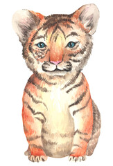 Obraz na płótnie Canvas Watercolor Baby Tiger Sublimation PNG, Jungle Animals