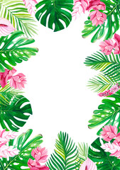Tropical Greenery Frame PNG