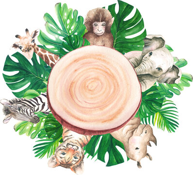 Jungle Animals and Wood Slice Fframe