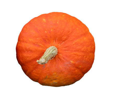 Isolated orange pumpkin on transparent background, top view