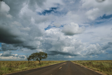 Fototapeta na wymiar clouds over the road and tree