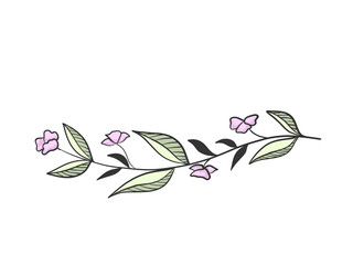 Branch with leaves and flowers hand drawn.