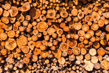 An alternative to expensive gas fuel.Pile of logs on a sunny summer day.firewood solid fuel found background.