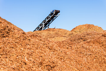 Alternative fuel,ecological fuel,biofuel sawdust,sawdust closeup background.Sawdust texture at...