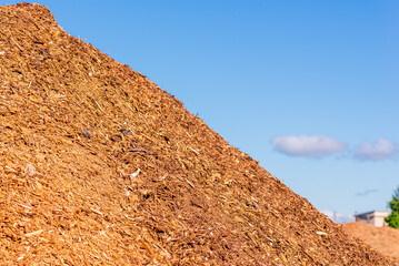 Alternative fuel,ecological fuel,biofuel sawdust,sawdust closeup background.Sawdust texture.A large...