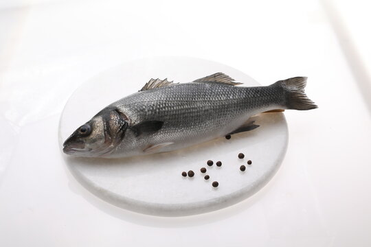 Raw, whole seabass fish isolated on white background, top view. Packshot photo for a fish store, for packaging design.