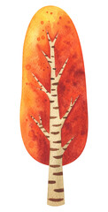 Autumn tree watercolor clipart. Illustration of an autumn deciduous birch tree with orange foliage. A plant for the autumn landscape of the park and forest. Isolated hand painted image