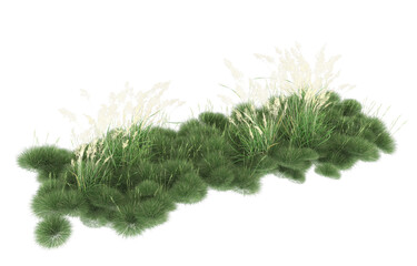 Grass on transparent background. 3d rendering - illustration