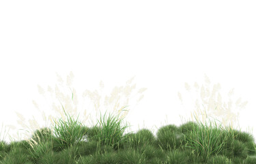 Fototapeta premium Grass on transparent background. 3d rendering - illustration