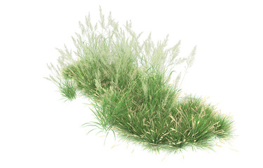 Grass on transparent background. 3d rendering - illustration