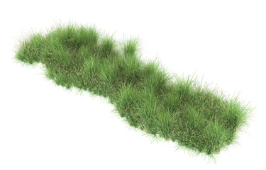Grass on transparent background. 3d rendering - illustration