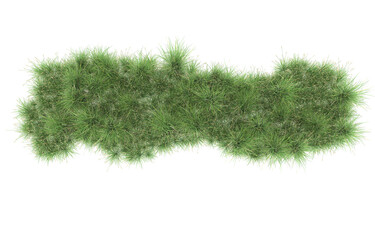 Obraz na płótnie Canvas Grass on transparent background. 3d rendering - illustration