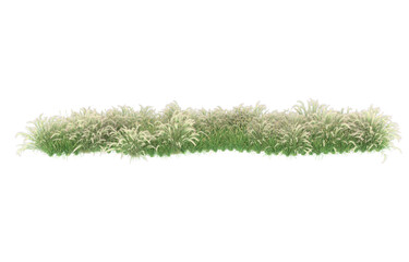 Grass on transparent background. 3d rendering - illustration