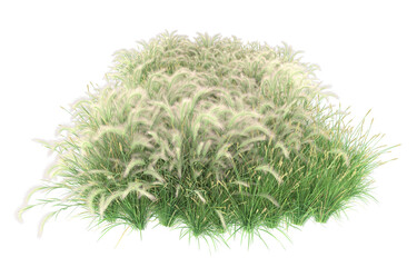 Grass on transparent background. 3d rendering - illustration