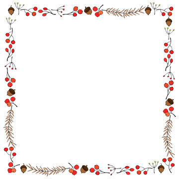 Vector square frame made of outline color twigs, berries, acorns hand drawn in doodle flat style. Theme is forest, nature, happy fall, thanksgiving