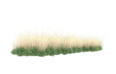 Grass on transparent background. 3d rendering - illustration