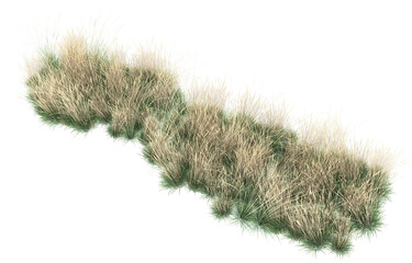 Grass on transparent background. 3d rendering - illustration