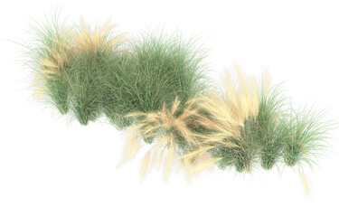 Grass on transparent background. 3d rendering - illustration