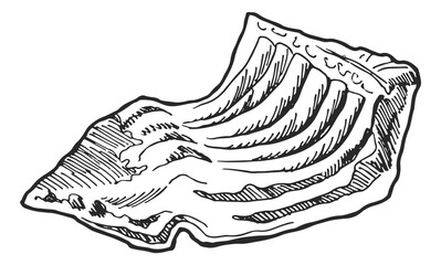 Raw ribs. Meat for cooking in hand drawn style