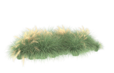 Grass on transparent background. 3d rendering - illustration