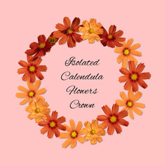 Isolated Calendula Botanical Flowers Circle Frame Perfect Material for Invitation Greeting Poster Banner Wallpaper Design With Free Text Space Organic Look