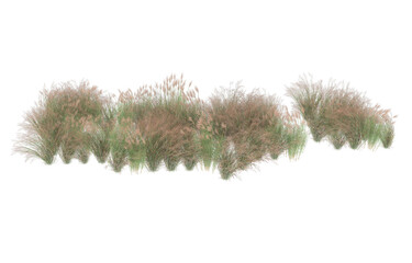 Grass on transparent background. 3d rendering - illustration