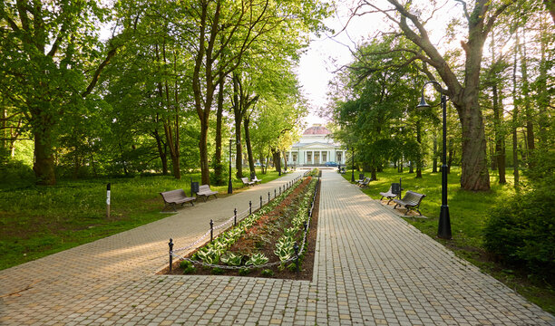 Alley in city park. Benches, floral decoration, bicycle road, trees, flowers, plants. Liepaja, Latvia. Summer landscape. Public places, urban planning, landscaping design, gardening, recreation themes