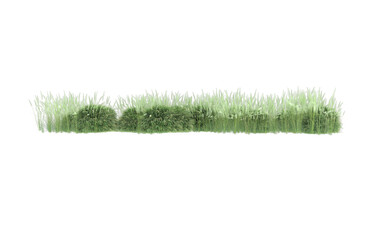 Grass on transparent background. 3d rendering - illustration