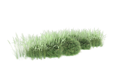 Grass on transparent background. 3d rendering - illustration