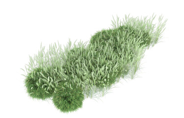 Grass on transparent background. 3d rendering - illustration