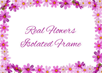 Isolated Calendula Botanical Flowers Frame Perfect Material for Invitation Greeting Poster Banner Wallpaper Design With Free Text Space Organic Look