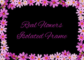 Isolated Calendula Botanical Flowers Frame Perfect Material for Invitation Greeting Poster Banner Wallpaper Design With Free Text Space Organic Look