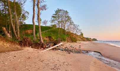 Baltic sea shore at sunset. Sandstone cliff, trees, pebbles. Clear sky, glowing clouds, soft golden sunlight, midnight sun. Dreamlike seascape. Panoramic view. Pure nature, tourism, summer vacations
