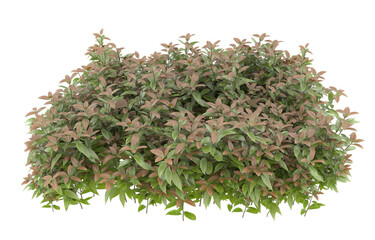 Grass on transparent background. 3d rendering - illustration