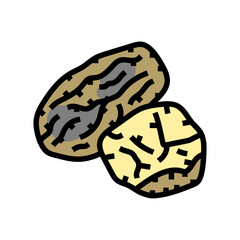 poria cocos mushroom color icon vector. poria cocos mushroom sign. isolated symbol illustration