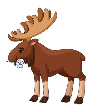 Moose holding white flower. Cute cartoon animal with big horns