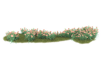 Grass on transparent background. 3d rendering - illustration