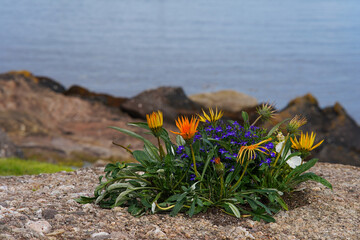 Floral arrangement near a beach