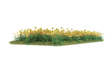 Grass on transparent background. 3d rendering - illustration