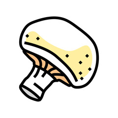 champignon mushroom color icon vector. champignon mushroom sign. isolated symbol illustration