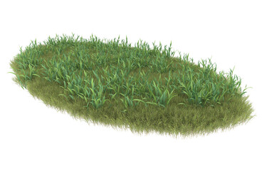 Grass on transparent background. 3d rendering - illustration