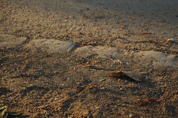 Footprints on a gravel path - Gravel path in a park on a late summers evening. Concept for end of the road, long journey, footprints in the sand