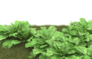 Grass on transparent background. 3d rendering - illustration