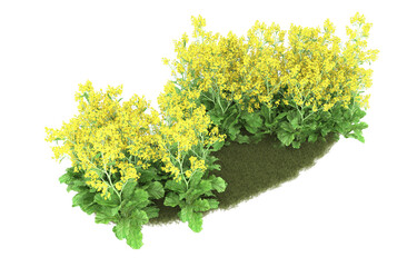 Grass on transparent background. 3d rendering - illustration