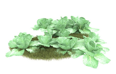 Grass on transparent background. 3d rendering - illustration