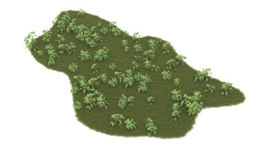 Grass on transparent background. 3d rendering - illustration